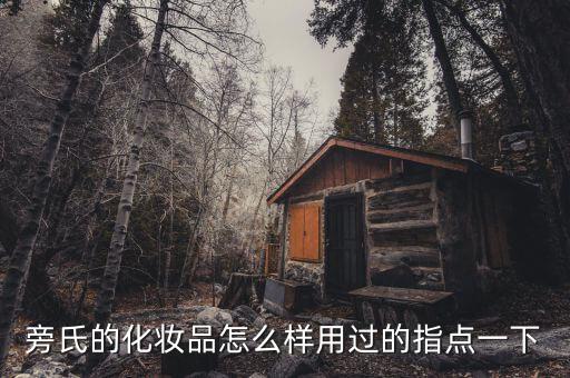 旁氏的化妆品怎么样用过的指点一下