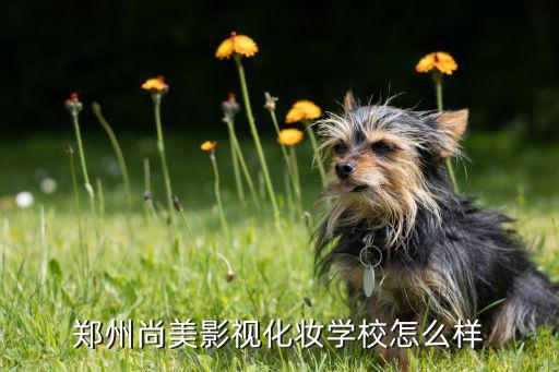 郑州尚美影视化妆学校怎么样
