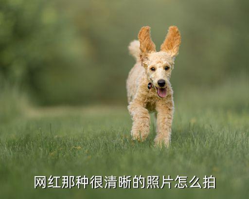 网红那种很清晰的照片怎么拍