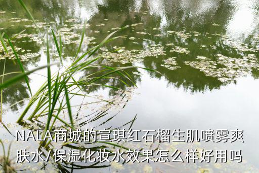 NALA商城的宣琪红石榴生肌喷雾爽肤水/保湿化妆水效果怎么样好用吗
