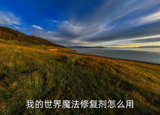 我的世界魔法修复剂怎么用