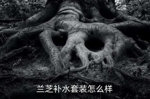 兰芝补水套装怎么样