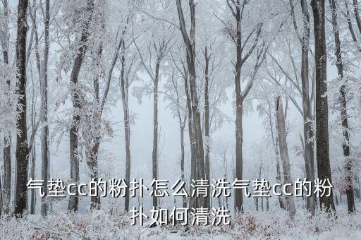 气垫cc的粉扑怎么清洗气垫cc的粉扑如何清洗