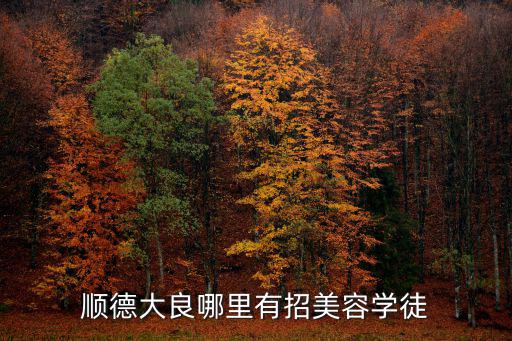 顺德大良哪里有招美容学徒