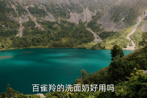 百雀羚的洗面奶好用吗