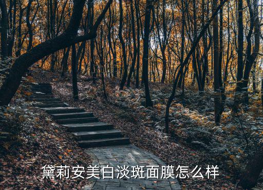 黛莉安美白淡斑面膜怎么样