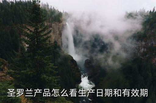 圣罗兰产品怎么看生产日期和有效期