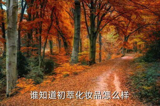 谁知道初萃化妆品怎么样