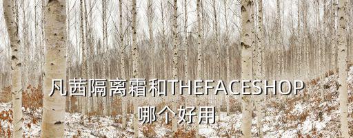凡茜隔离霜和THEFACESHOP哪个好用