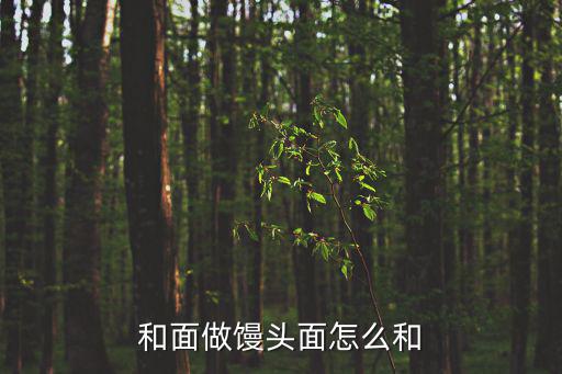 和面做馒头面怎么和