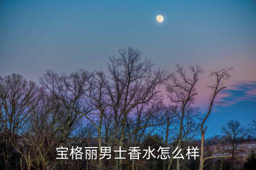 宝格丽男士香水怎么样