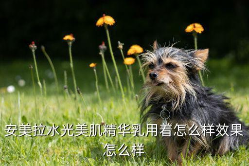安美拉水光美肌精华乳用着怎么样效果怎么样