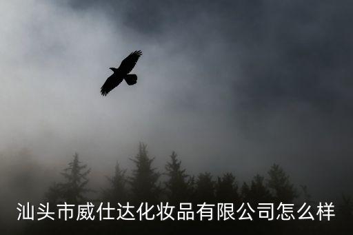 汕头市威仕达化妆品有限公司怎么样