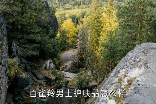 百雀羚男士护肤品怎么样