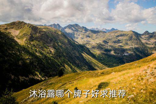 沐浴露哪个牌子好求推荐