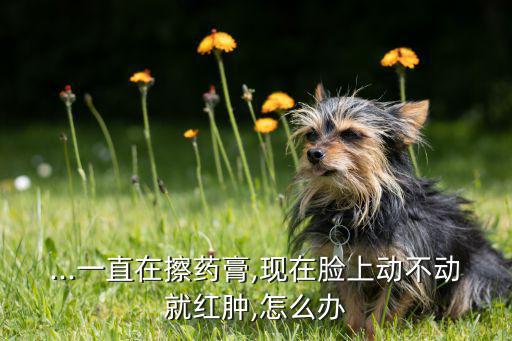 菠丹妮的霜怎么样,捷克菠丹妮眼霜好用吗