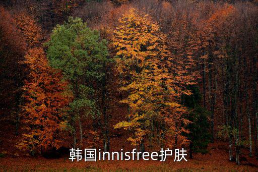 韩国innisfree护肤