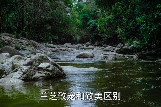 兰芝致宠凝时系列怎么样,兰芝宠凝和致美哪个好