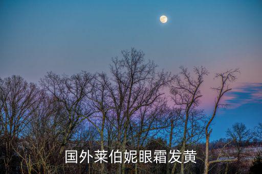 莱伯尼化妆品怎么样,比莱伯妮还贵的护肤品