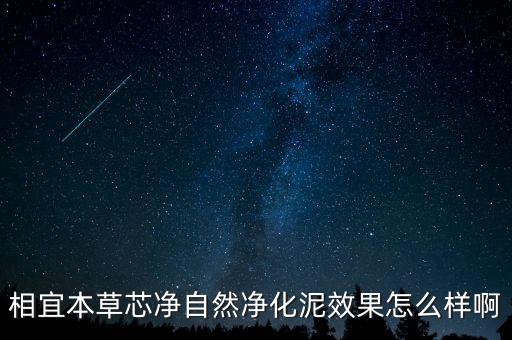 相宜本草芯净自然净化泥效果怎么样啊