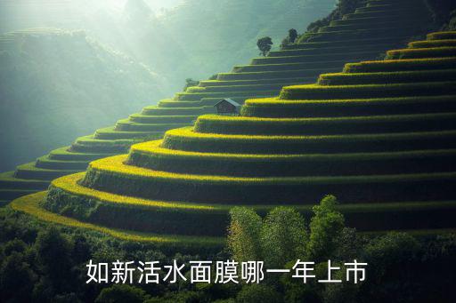 如新美版的面膜怎么样,如新面膜怎么样