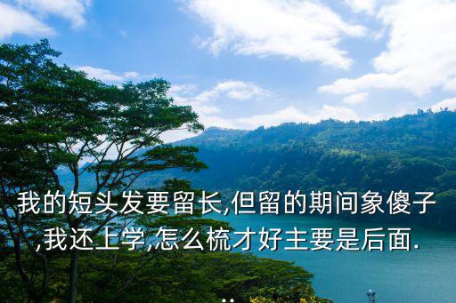 去学校上课怎么梳头,小学生上学时应怎样梳头