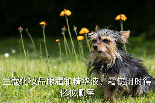 兰蔻化妆品眼霜和精华液、霜使用时得化妆顺序