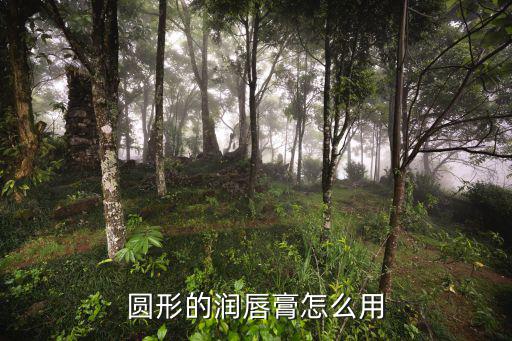圆形的润唇膏怎么用