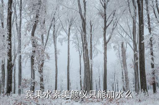 宾果水素美颜仪只能加水么