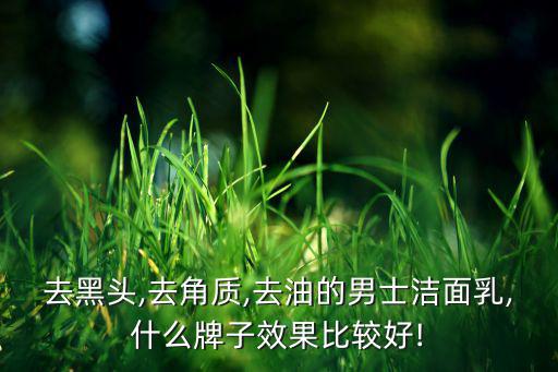 去黑头,去角质,去油的男士洁面乳,什么牌子效果比较好!