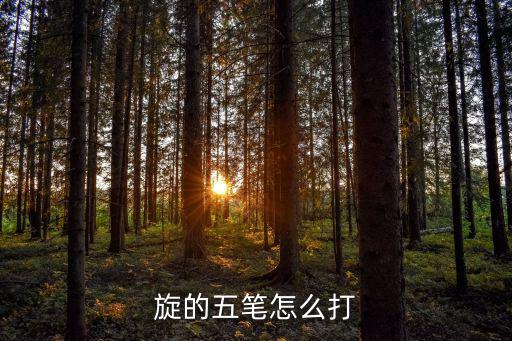 旋的五笔怎么打