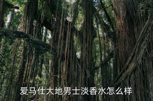 爱马仕大地男士淡香水怎么样