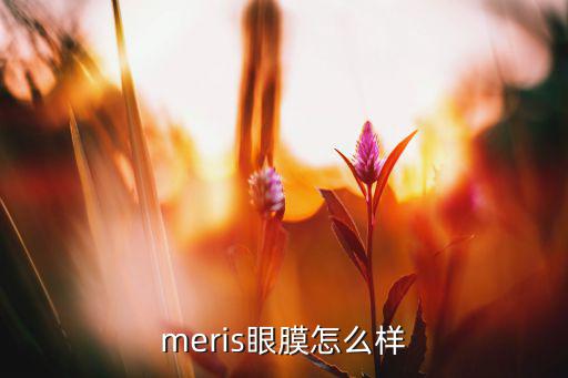 meris眼膜怎么样