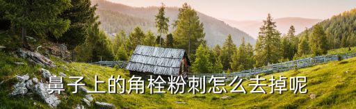 鼻子上的角栓粉刺怎么去掉呢