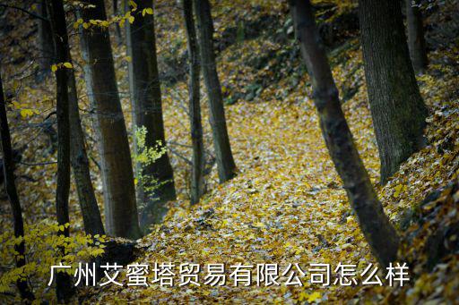 广州艾蜜塔贸易有限公司怎么样