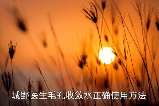 程野医生紧肤水怎么样,城野医生的爽肤水怎么样