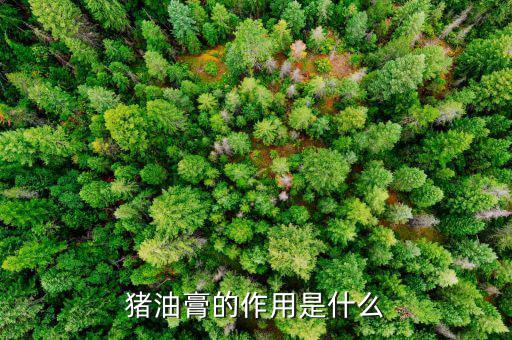 猪油膏的作用是什么