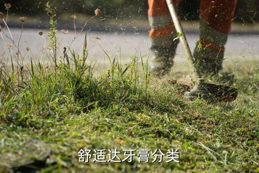 舒适达牙膏分类