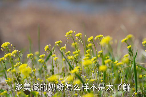 多美滋的奶粉怎么样不是太了解