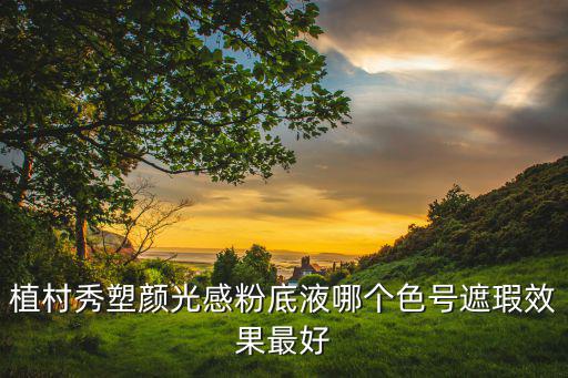 植村秀塑颜光感粉底液哪个色号遮瑕效果最好