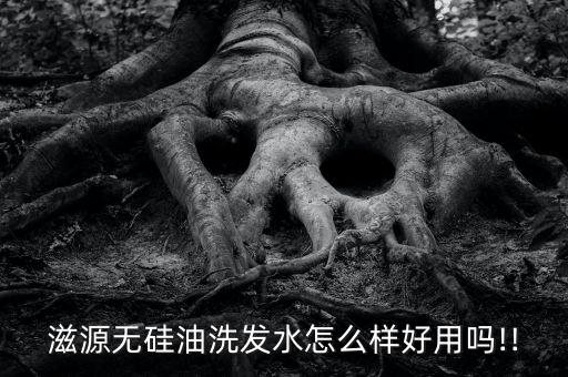 滋源无硅油洗发水怎么样好用吗!!