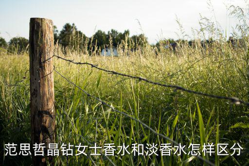 范思哲晶钻女士香水和淡香水怎样区分