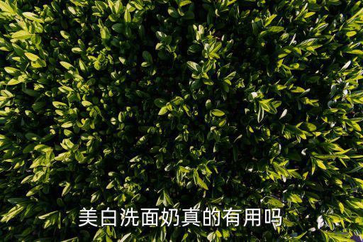 资生堂美白控油洗面奶怎么样,资生堂洗面奶好不好用?