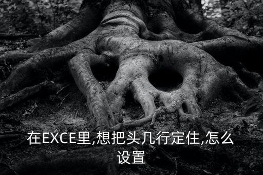 在EXCE里,想把头几行定住,怎么设置