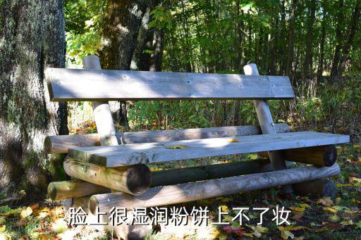 脸上很湿润粉饼上不了妆