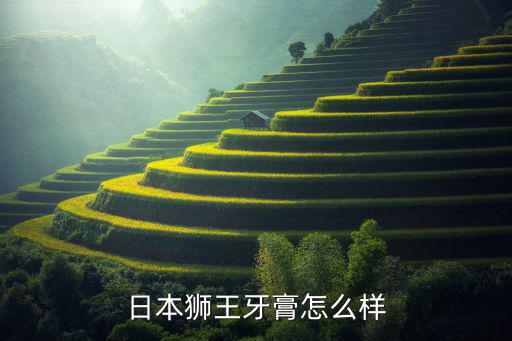 日本狮王牙膏怎么样