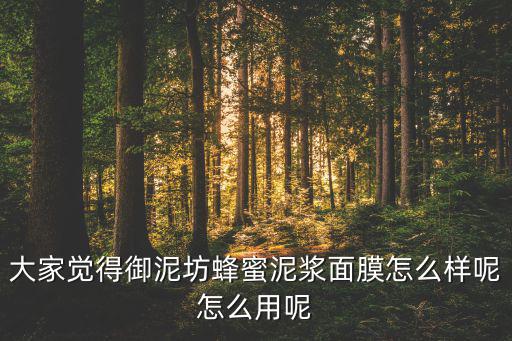 大家觉得御泥坊蜂蜜泥浆面膜怎么样呢怎么用呢