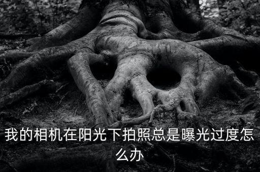 我的相机在阳光下拍照总是曝光过度怎么办