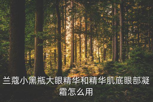 兰蔻小黑瓶大眼精华和精华肌底眼部凝霜怎么用