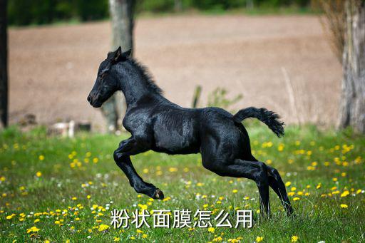 粉状面膜怎么用